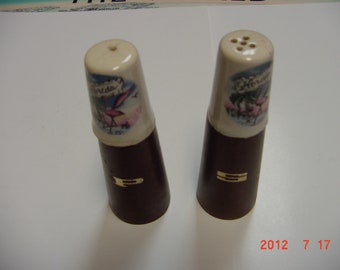 Vintage Florida Salt and Pepper Shakers