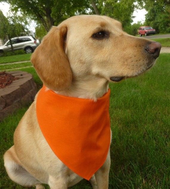 Hunter Orange Large Dog Bandana with Velcro Closure by ericaburris