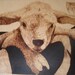 The Lord is my Shepherd, lamb on shoulder hand woodburn pyrography