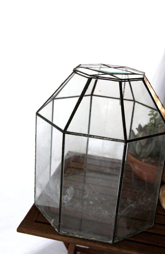 Vintage Glass Terrarium Large 15 Octagon