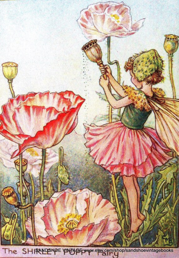 ON HOLD 1930s FAIRY Cicely Mary Barker Print Ideal For Framing