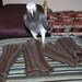 bunny chew prevention furniture leg sleeves for house rabbits