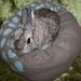 Ugli Donut bunny bed for a small sized rabbit soft brushed wool Duck Egg blue and taupe