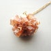 Raw Argonite Cluster Necklace