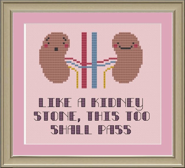 Like a kidney stone this too shall pass: funny cross-stitch