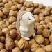 Vasya Hedgehog
