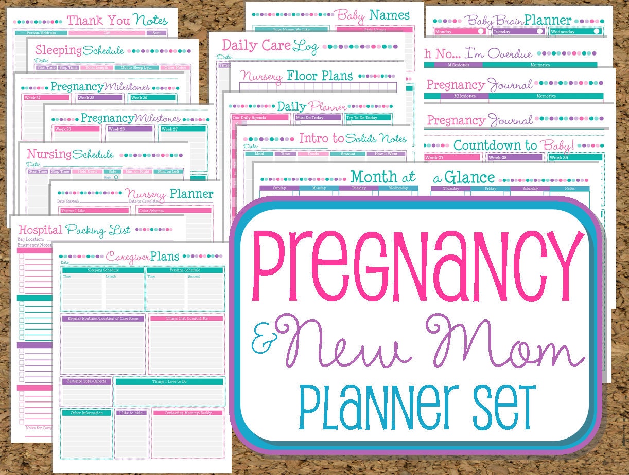 INSTANT DOWNLOAD-Pregnancy and New Mom Planner-Baby and