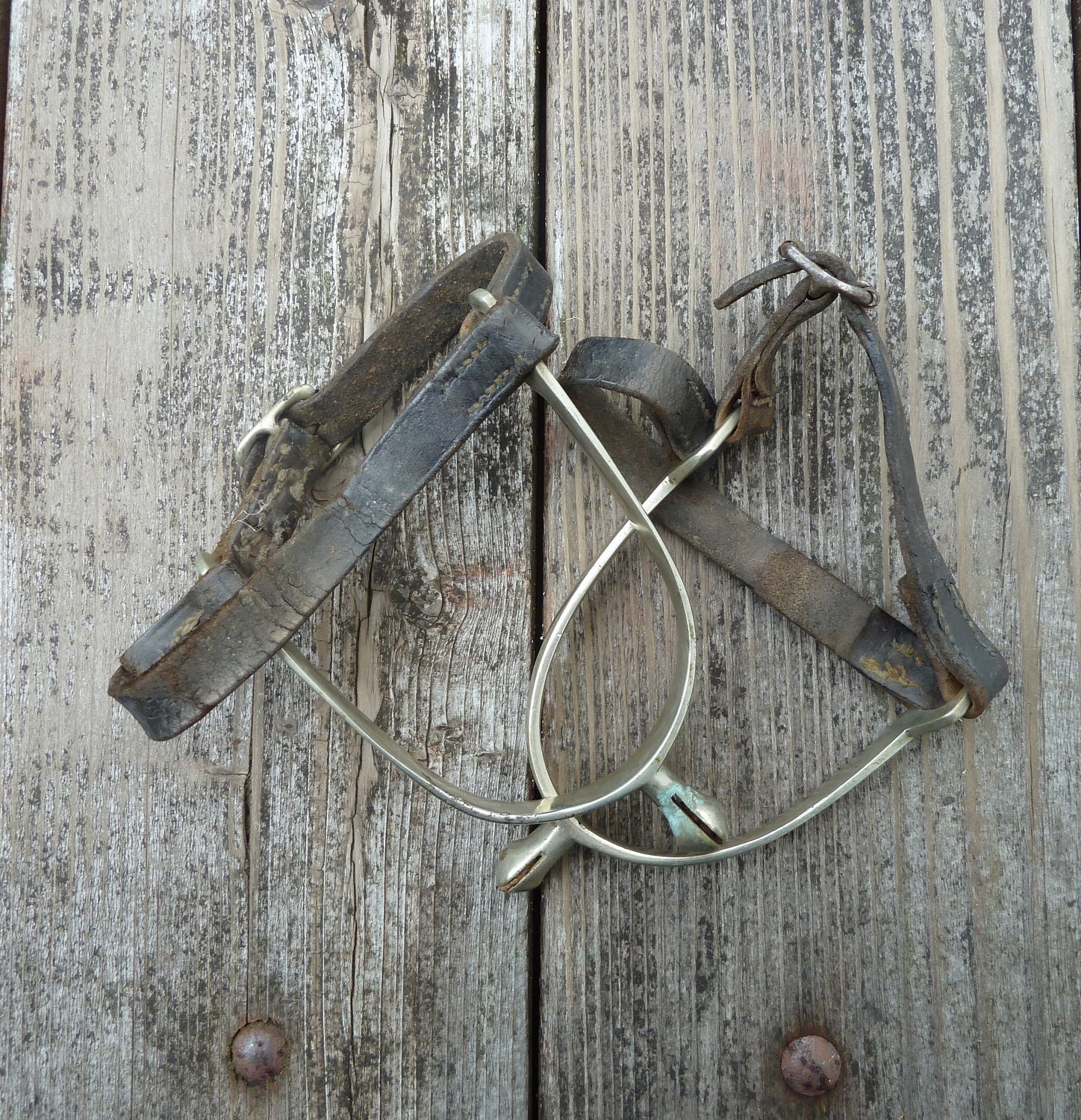 Vintage Riding Spurs