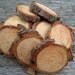 50 Pine wood slices for crafts, candles, decoration, blanks, rustic weddings, blanks, buttons