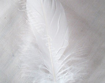 Goose Shoulder Feathers, soft and flexible per strung foot (about 100 feathers)