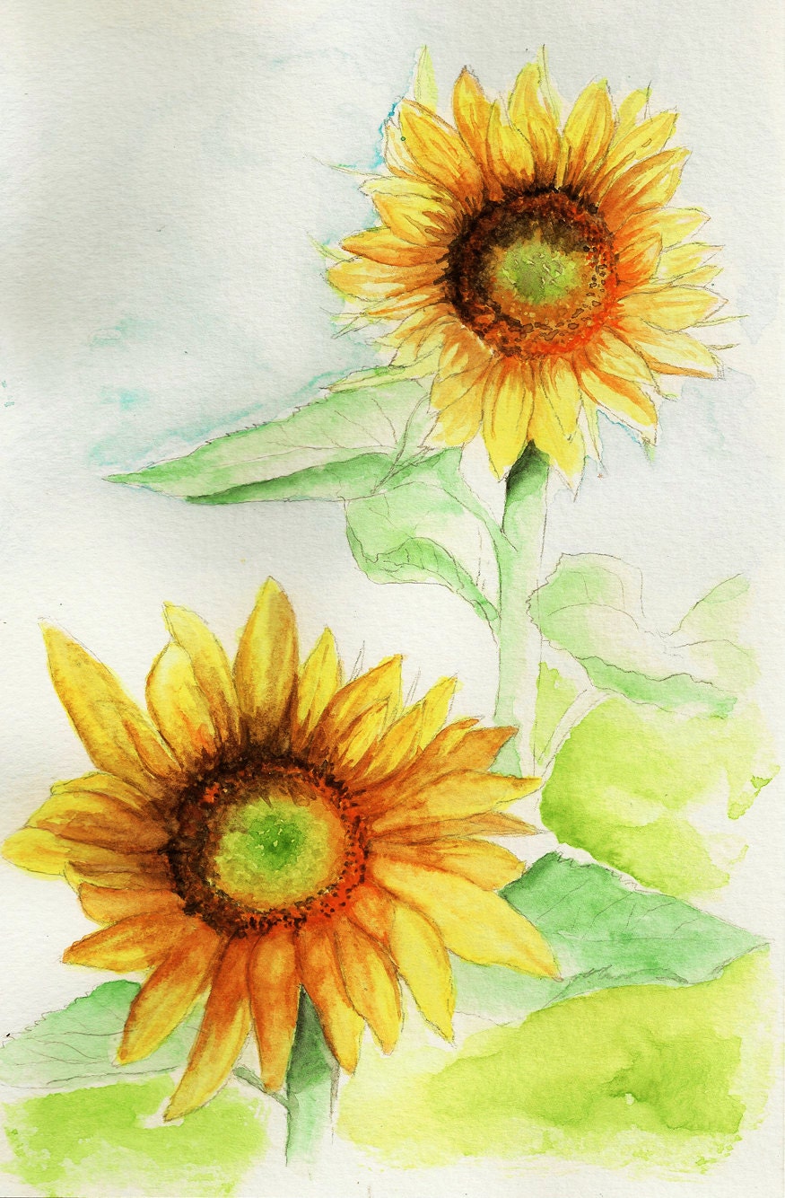 size x 15 frame 23 Painting 6 Original x9 Watercolor Sunflowers