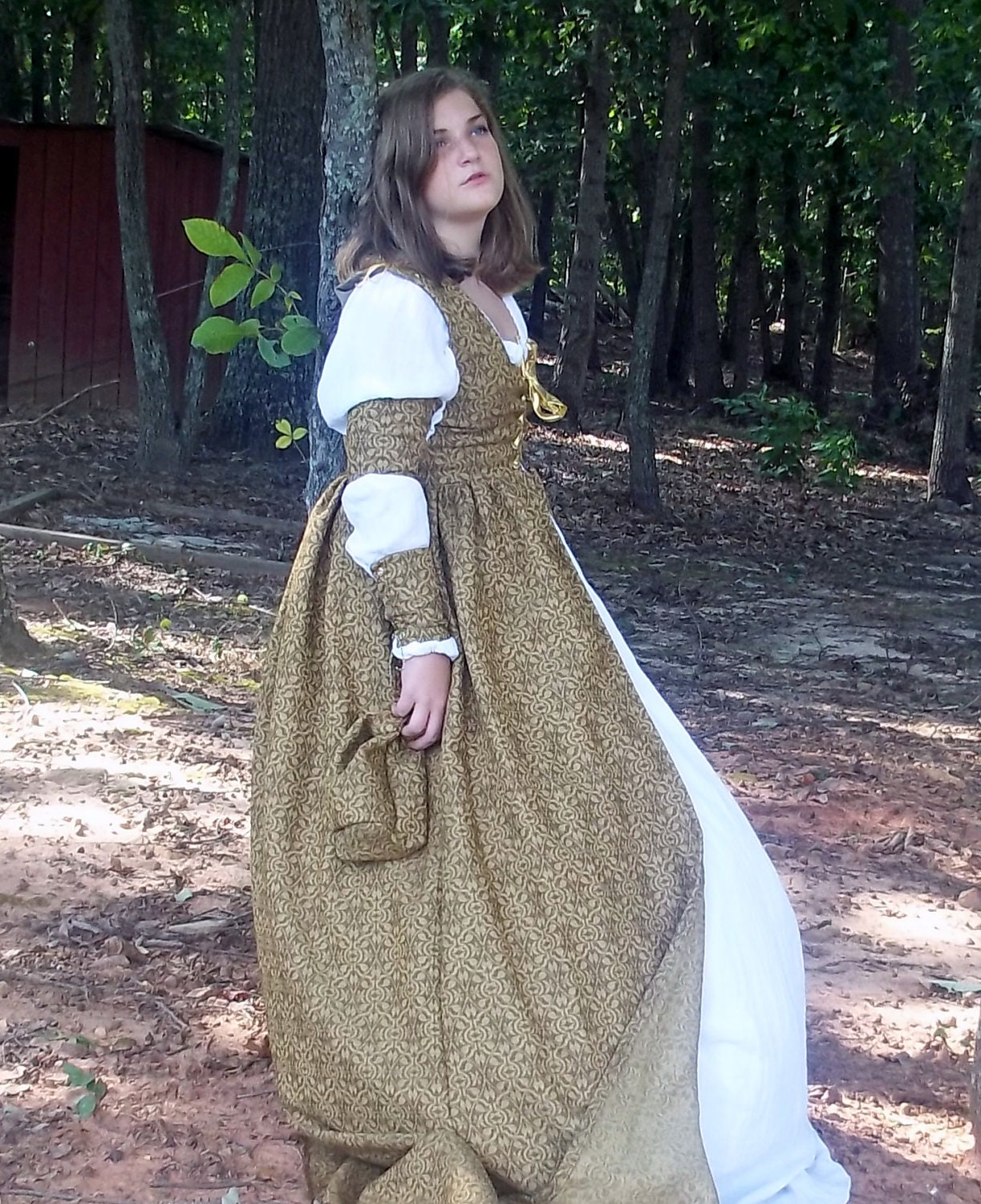 Irish Overdress LARP SCA Renaissance Faire Costume by SassInSatin