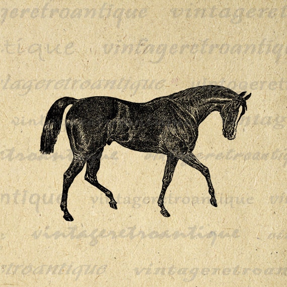 vintage horse clipart - photo #12