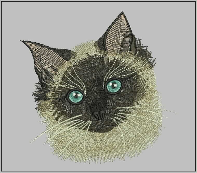 Download Siamese cat embroidery design Design for embroidery machine