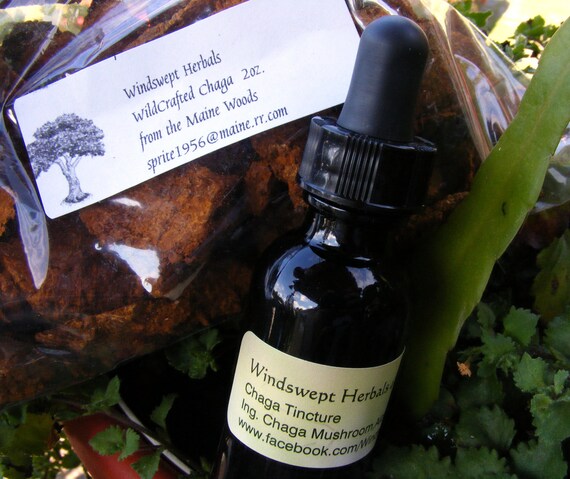 Items similar to Chaga Mushroom Tincture 1oz. & Dried ...