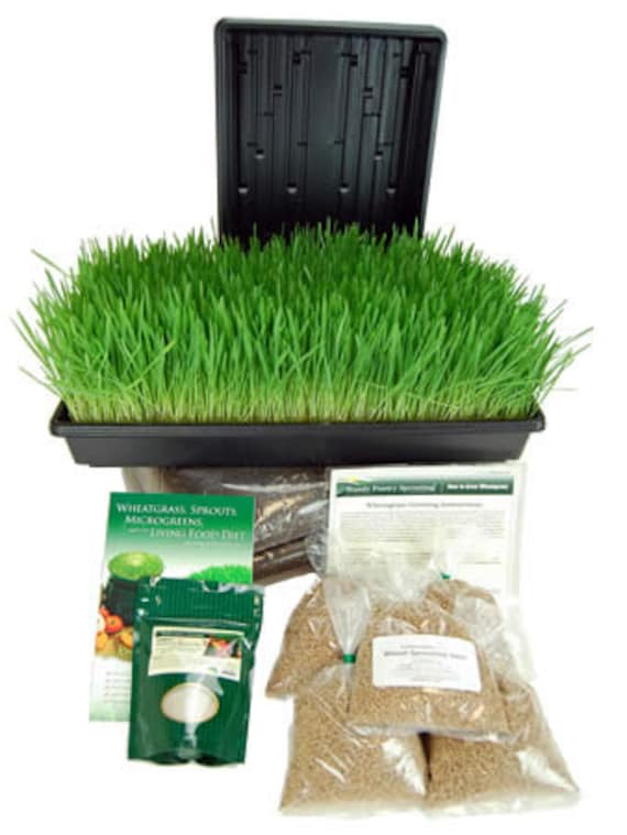 Wheat grass kits marloslash.ml is now part of True Leaf Market! We offer Wheatgrass & Barleygrass growing kits, manual and electric juicers, organic seed, growing supplies, refill kits and more. Just getting started, and wondering where to begin? See our Wheatgrass Starter Guide, and How to Grow Wheatgrass videos. Looking for other healthy counter-top growing?