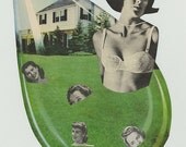 Life and death in suburbia.  Original collage by Vivienne Strauss.