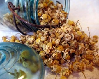 1 ounce (28grams) Organic German Chamomile Flower Tops, bulk chamomile, chamomile herb, chamomile tea bulk, loose herbs