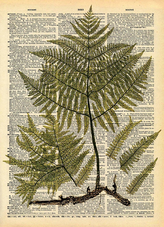 Vintage Book Print Botanical Fern Art Upcycled Antique