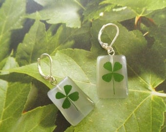 Real 4 Leaf Clover Rectangle White Cat's Eye Rectangle Leverback Earrings-Gifts Under 30-Nature's Art-Symbolizes Luck, Hope, Faith, Love