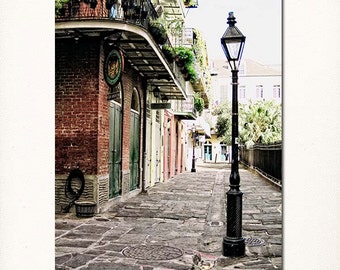 mardi gras street lamp