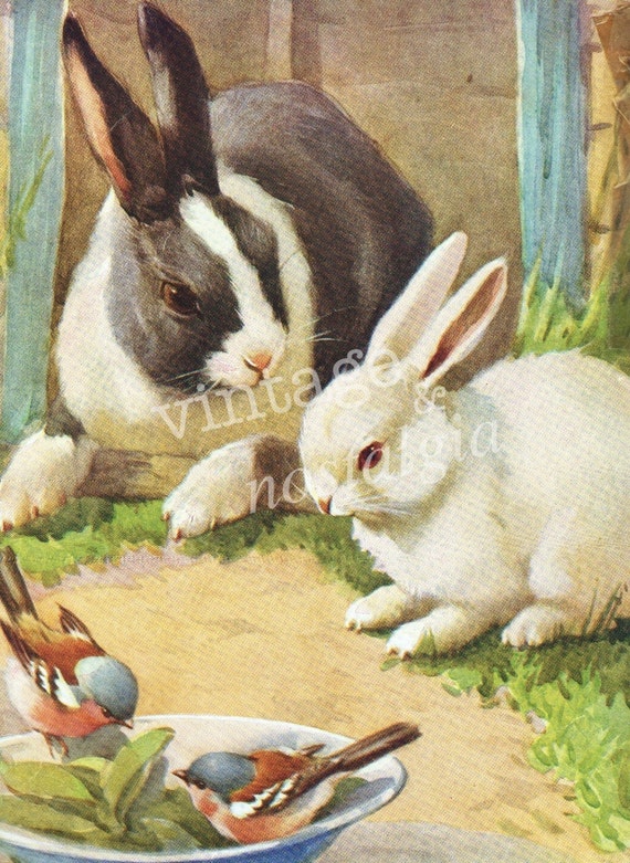 nursery decor Rabbit Bunny Rabbits birds vintage illustration