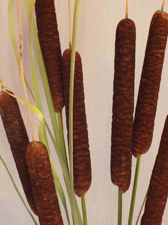 Reserved for Cyndy K Dried Cattails x3 Jumbo Size rare