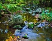 Nature Photography, Magical Creek, Metal Print, Wall Decor, Nature Spirits, Fairy Land, Enchanted Forest, Blue Green Yellow, Autumn Colors Nature Photography, Magical Creek, Metal Print, Wall Decor, Nature Spirits, Fairy Land, Enchanted Forest, Blue Green Yellow, Autumn Colors