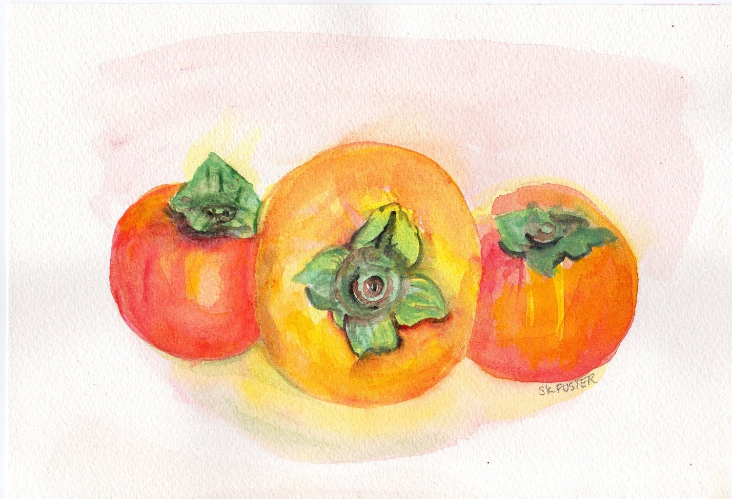 Persimmon watercolor painting Original persimmons still life