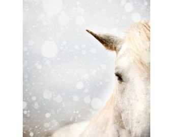Horse Photography, Modern Nature Photography, Horse Art Print, Fine Art Photography, Winter Snow, Animal Print Wall Art "Winter Mare"