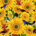 By the Yard Rennie Rau Marquez Sunny Side Up SUNFLOWER J8617 Hoffman Fabric