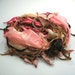 Organza Soft and Silk Sari Ribbon scarf