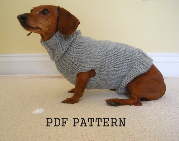 Sweater Pattern for Mini Daschaunds Doxie Dachshund Knitted