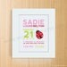 Custom Birth Announcement Print - LADYBUG Wall Art