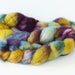 BFL Superwash Roving-Hermerocallis 4 oz-Handpainted Top/Roving for Spinning or Crafting