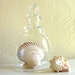 Small Curvy Clear Glass Cloche Decorative Dome