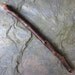 Natural Wood Wand - Blackthorn - Excellent for Protection.