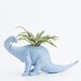 RESERVED For Mai Two Dinosaur Planters Room Decor, Mint green and Light Blue, Tillandsia Pot