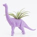 Dinosaur Planter with Air Plant Room Decor, College Dorm Ornament, Plants and Edibles