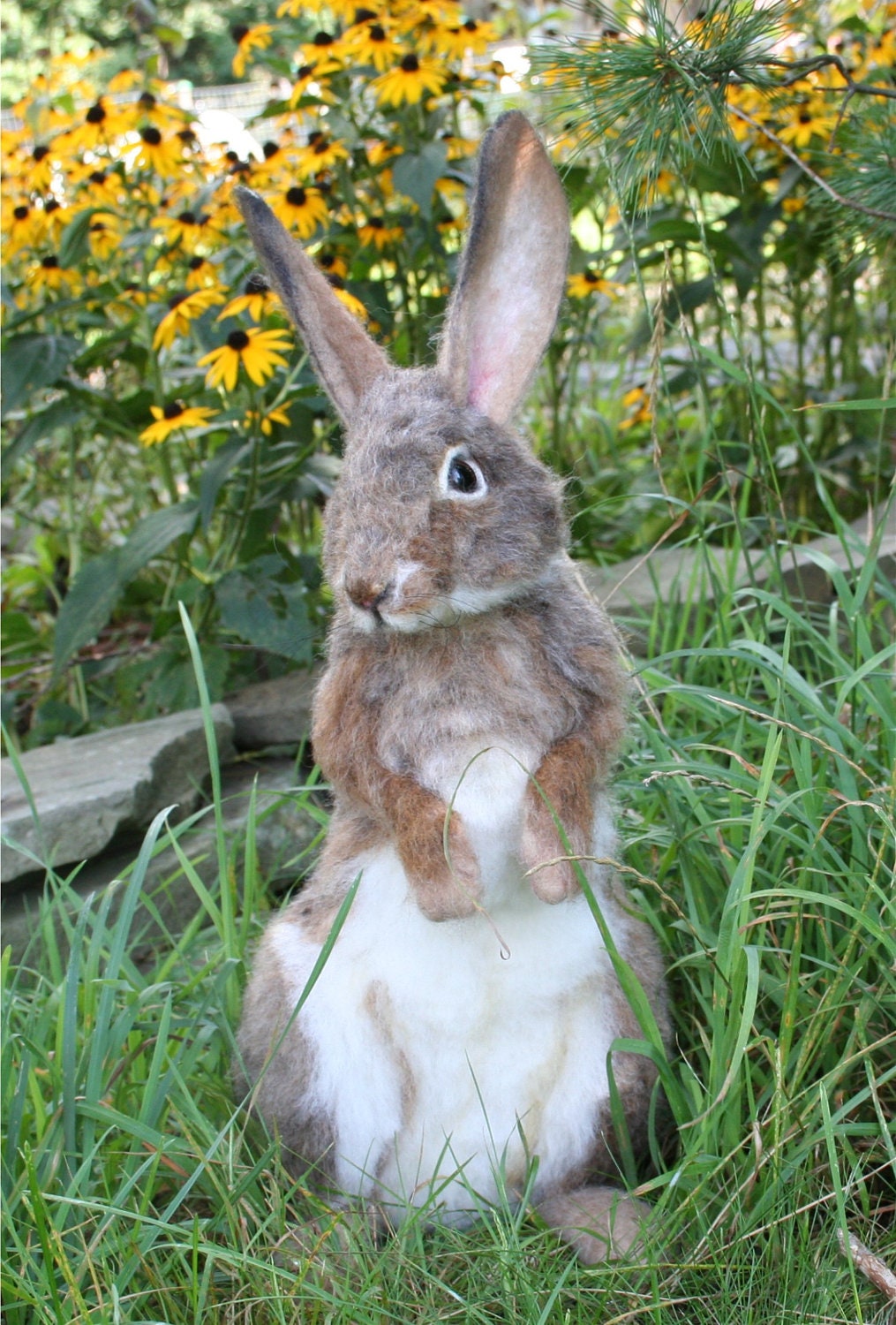 OOAK Needle felted Alpaca Life Size Cottontail Bunny by SteviT