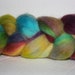 Hand Painted Corriedale Roving for Spinning and Tie Dye Two