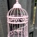 Pink Bird Cage