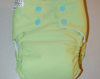 LuluBellDesigns All in One AIO Cloth Diaper Large 25-38 lbs SOLIDS