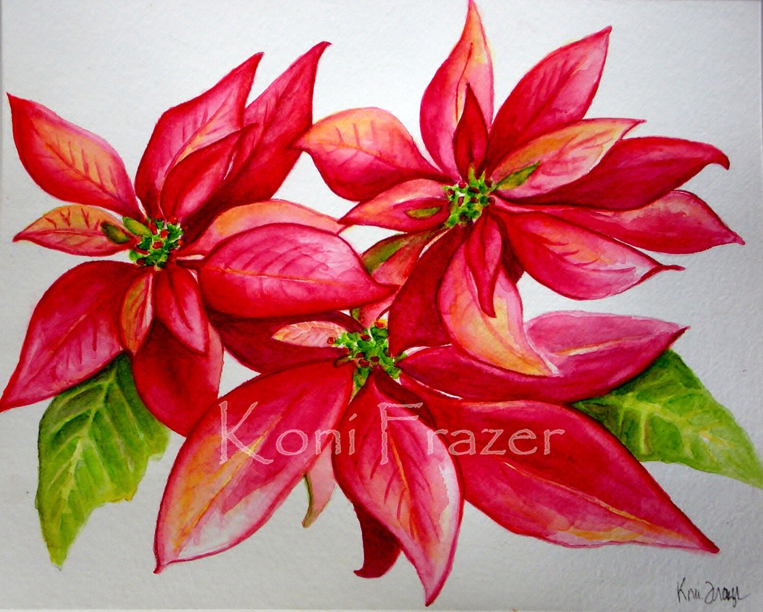 Items similar to Original watercolor painting / poinsettia flower