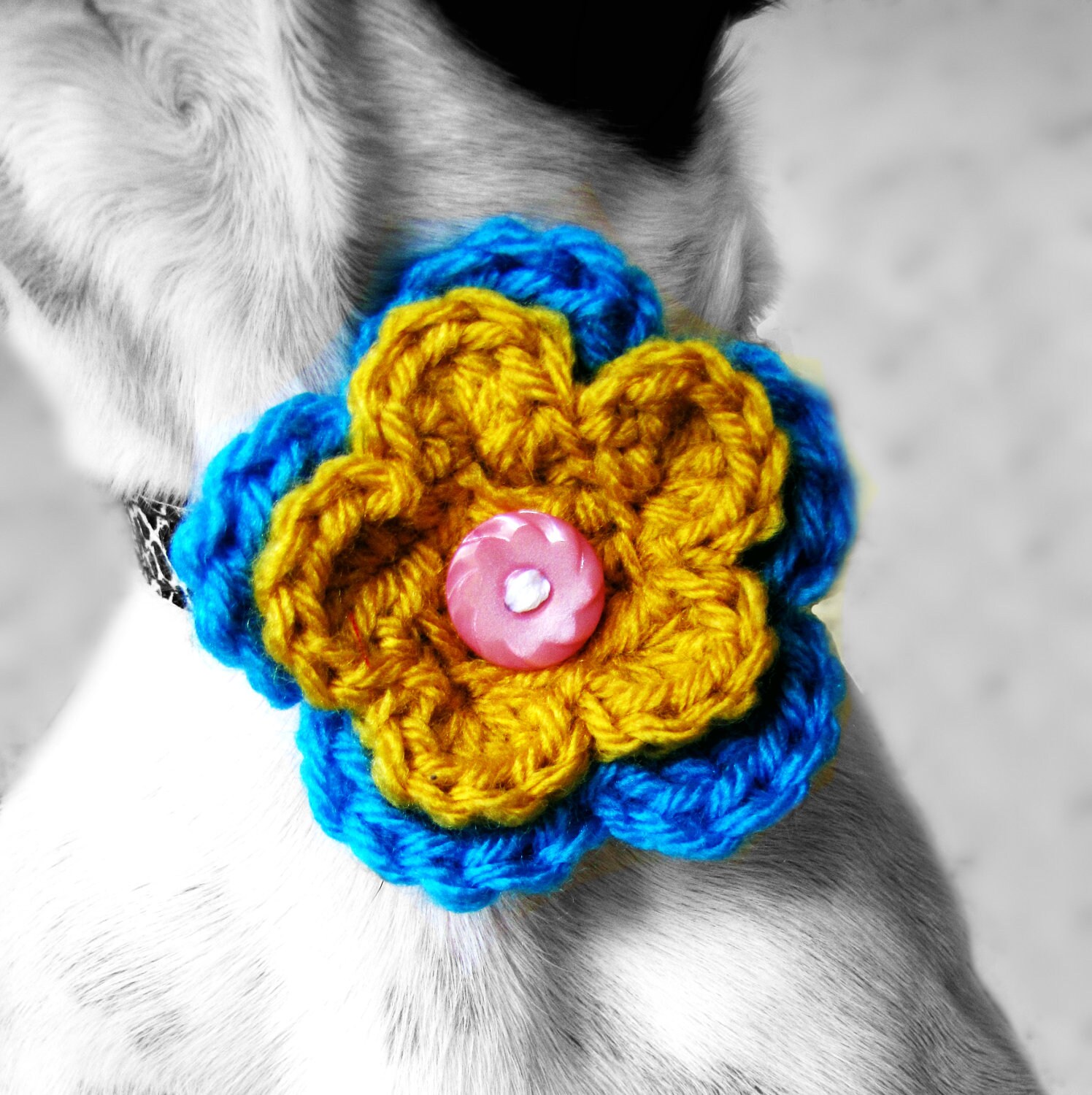 2 Color Crochet Dog Collar Flower MORE COLORS
