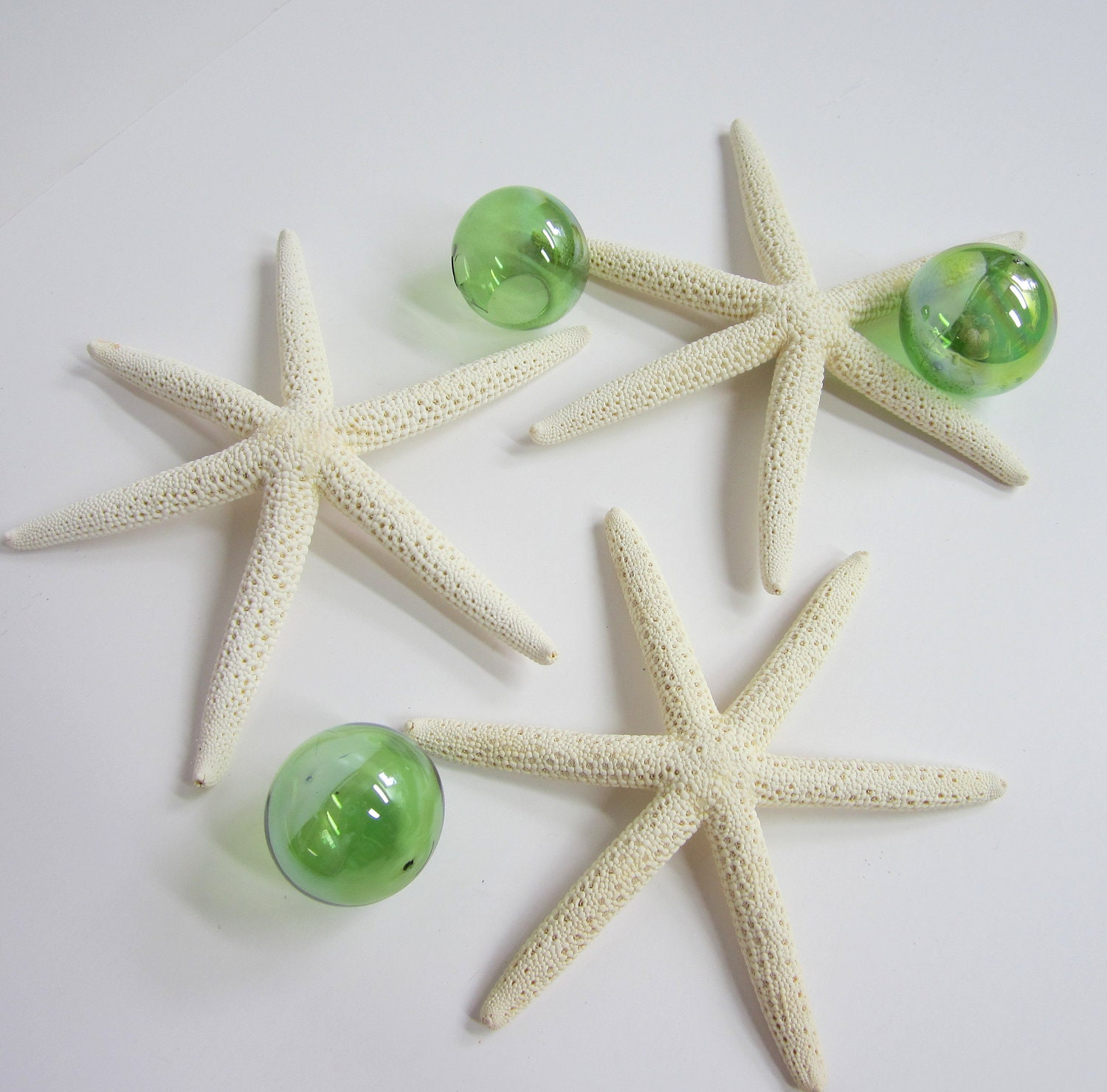 Beach Decor Starfish Nautical Decor RARE 6 By Beachgrasscottage   Il Fullxfull.364579254 C73t 