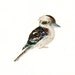 KOOKABURRA by DIMDI Original watercolor painting 10X8inch