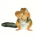 CHIPMUNK with his NUT by DIMDI Original watercolor painting 10X8inch
