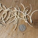 Giant Reticulated Python Ribs for Beads- 10 pcs