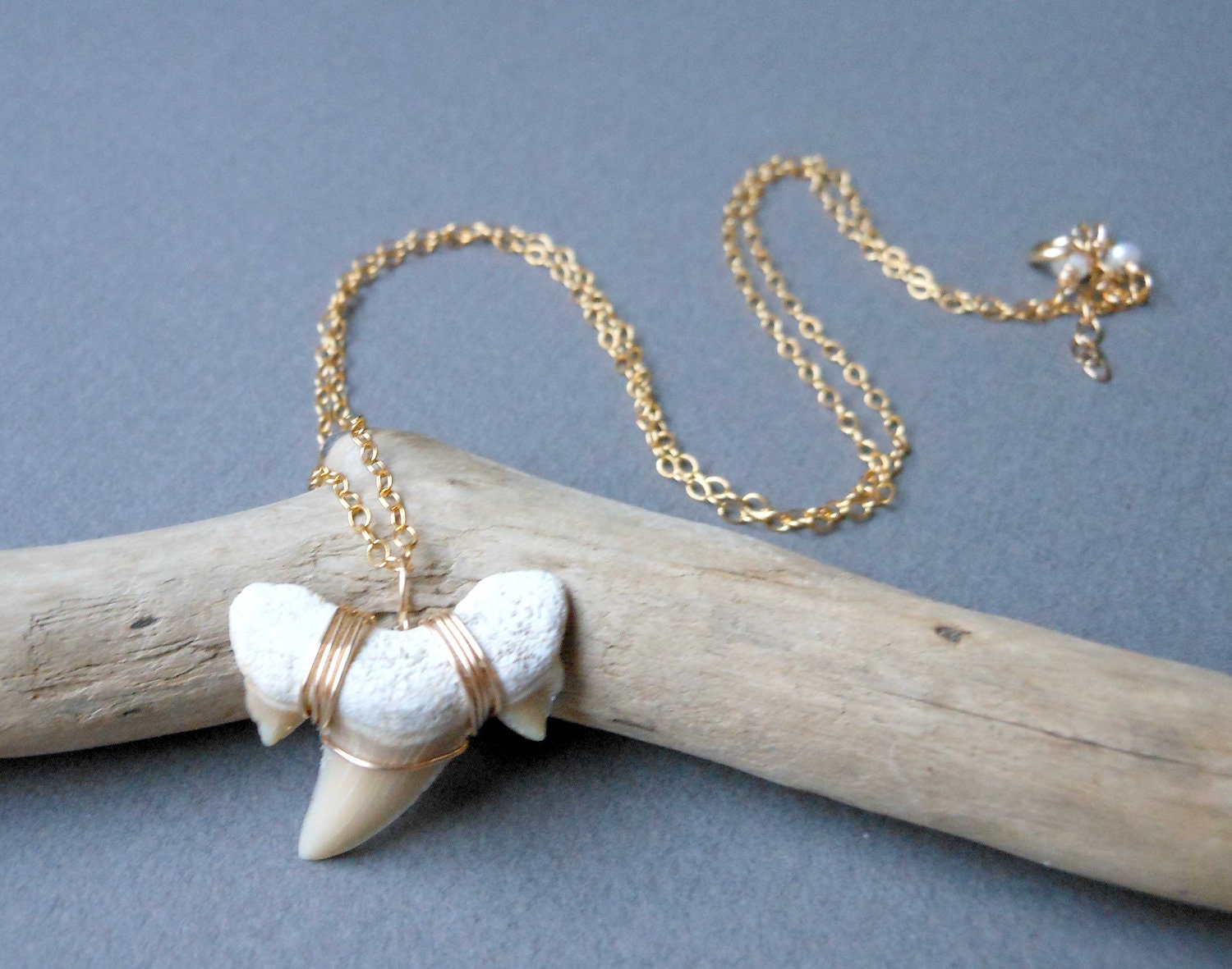 Great White Necklace Shark tooth necklace 14kt gold fill